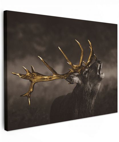 Hert - Black - Gold