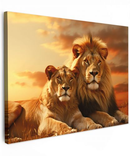 Leeuwen - Zonsondergang - Afrika - Savanne - Dieren