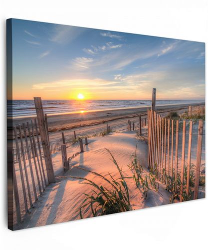 Duin - Zonsondergang - Strand - Planten - Zee