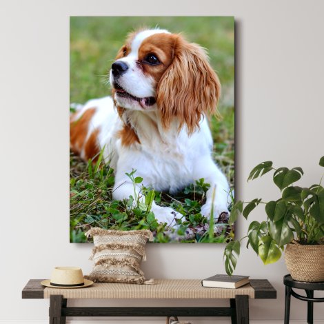 Foto op canvas van hond
