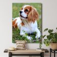 Foto op canvas van hond thumbnail