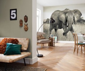 Olifant op fotobehang