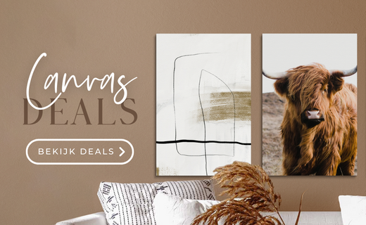 Canvas deals