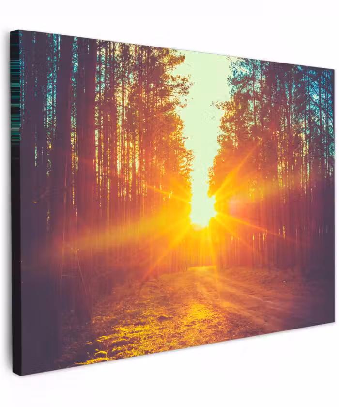Canvas schilderij - Zonsondergang - Bomen - Bos - Natuur