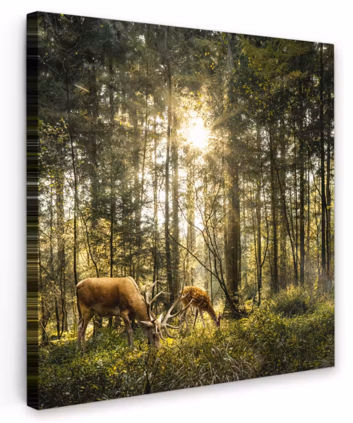 Canvas schilderij - Hert - Natuur - Bos