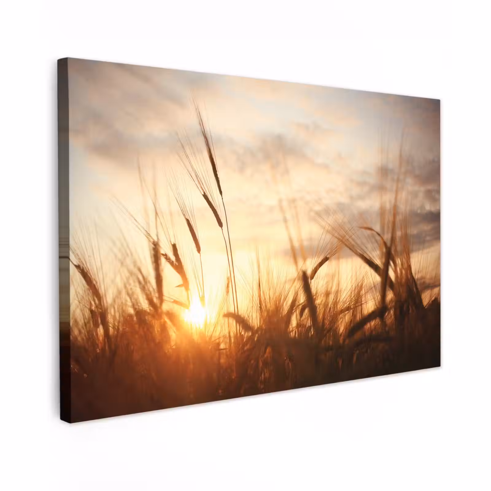 Buiten canvas - Riet - Gras - Zonsondergang - Natuur - Horizon — 1