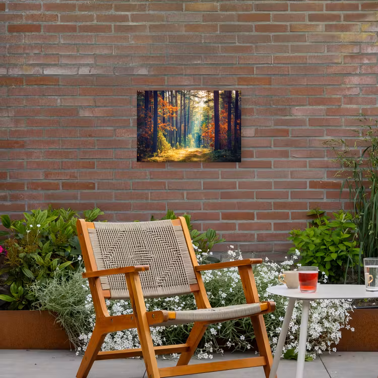 Buiten canvas - Bos - Zon - Natuur - Herfst — 2