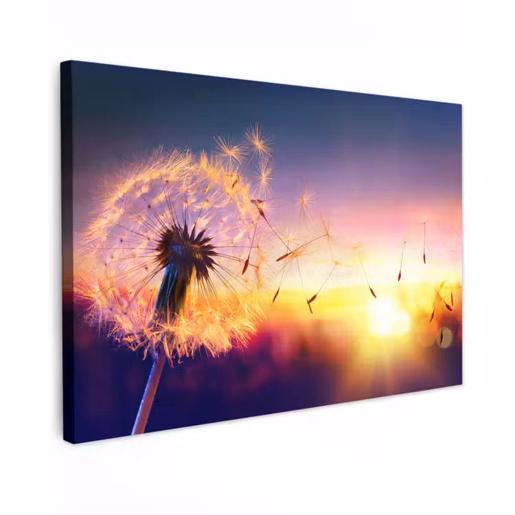 Buiten canvas - Paardenbloem - Bloemen - Zonsondergang - Horizon - Nacht — 1