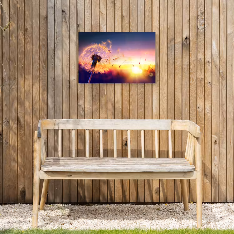 Buiten canvas - Paardenbloem - Bloemen - Zonsondergang - Horizon - Nacht — 3