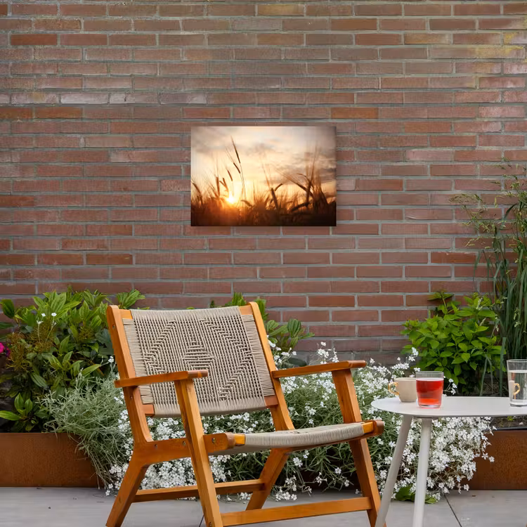 Buiten canvas - Riet - Gras - Zonsondergang - Natuur - Horizon — 2