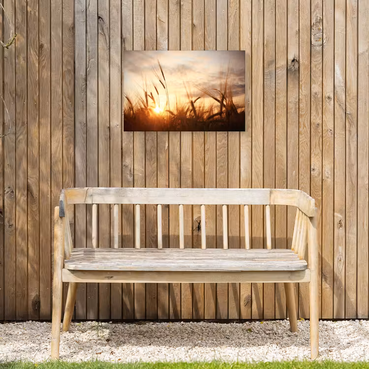 Buiten canvas - Riet - Gras - Zonsondergang - Natuur - Horizon — 3