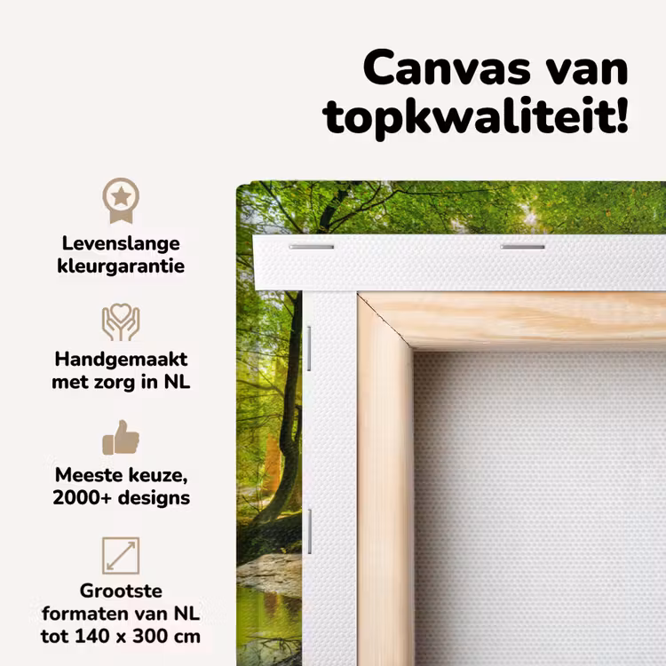Canvas schilderij - Bos - Landschap - Water - Bomen - Zon - Groen - Natuur — 4
