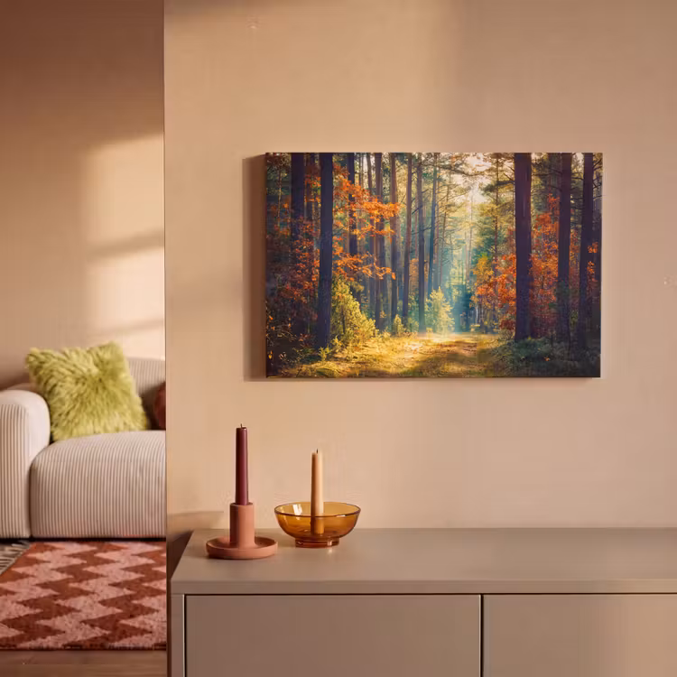 Canvas schilderij - Bos - Zon - Natuur - Herfst — 1