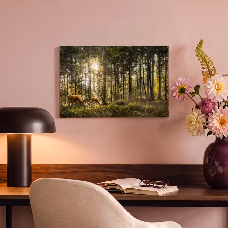 Canvas schilderij - Hert - Natuur - Bos — 2