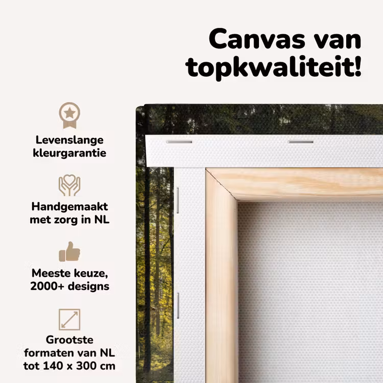 Canvas schilderij - Hert - Natuur - Bos — 4