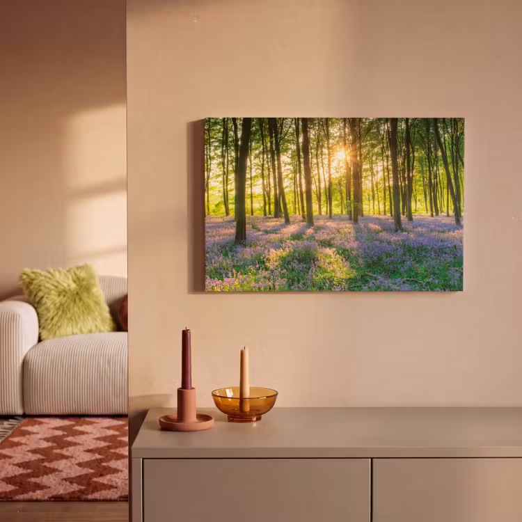 Canvas schilderij - Lente - Bos - Zon — 1