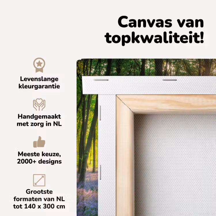 Canvas schilderij - Lente - Bos - Zon — 4