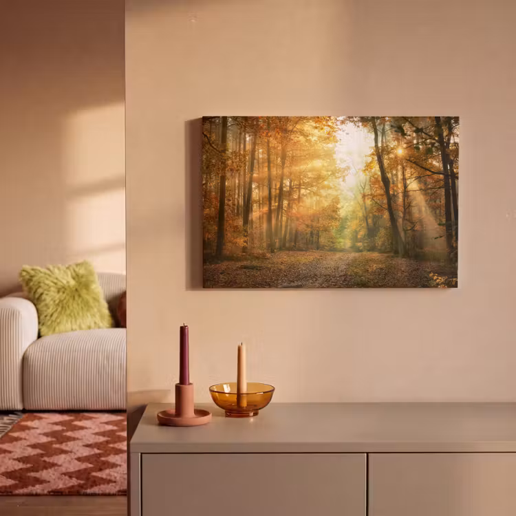 Canvas schilderij - Bos - Herfst - Zon - Landschap - Natuur - Bomen - Bladeren — 1