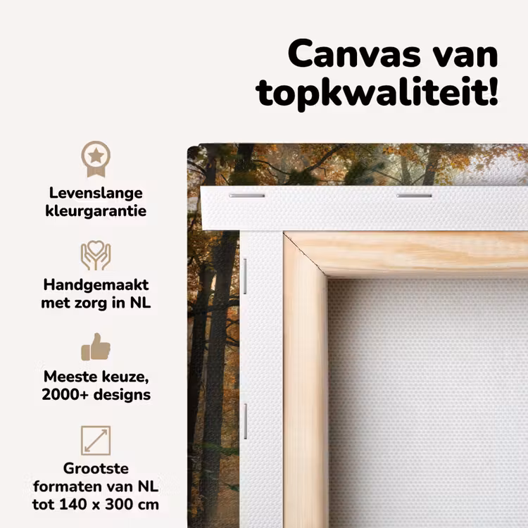 Canvas schilderij - Bos - Herfst - Zon - Landschap - Natuur - Bomen - Bladeren — 4