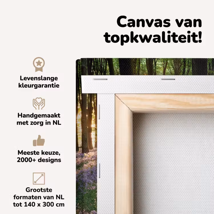 Canvas schilderij - Bos - Natuur - Bloemen - Zon - Boom - Paars — 4