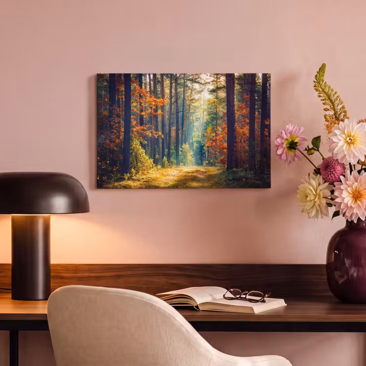 Canvas schilderij - Bos - Zon - Natuur - Herfst — 2