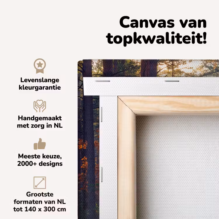 Canvas schilderij - Bos - Zon - Natuur - Herfst — 4