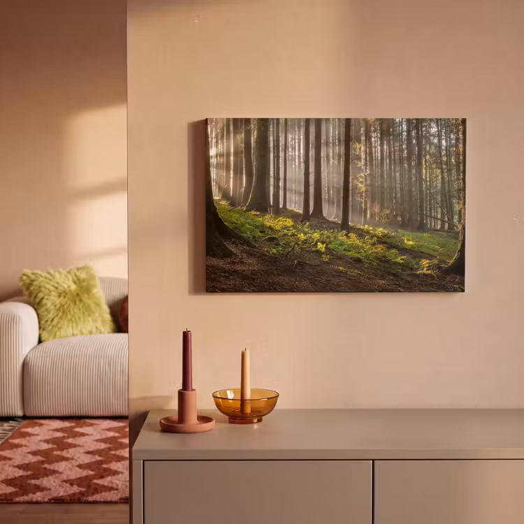 Canvas schilderij - Zon - Takken - Bomen - Bos - Natuur — 1