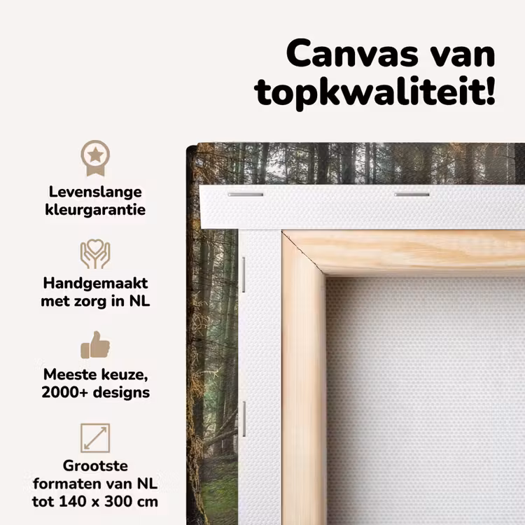 Canvas schilderij - Zon - Takken - Bomen - Bos - Natuur — 4