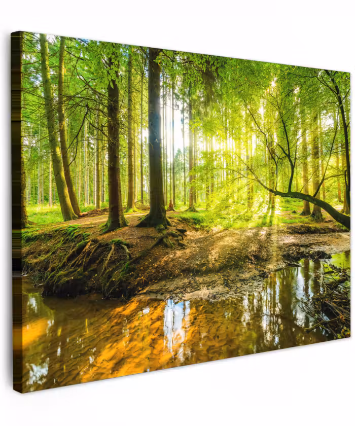 Canvas schilderij - Bos - Landschap - Water - Bomen - Zon - Groen - Natuur