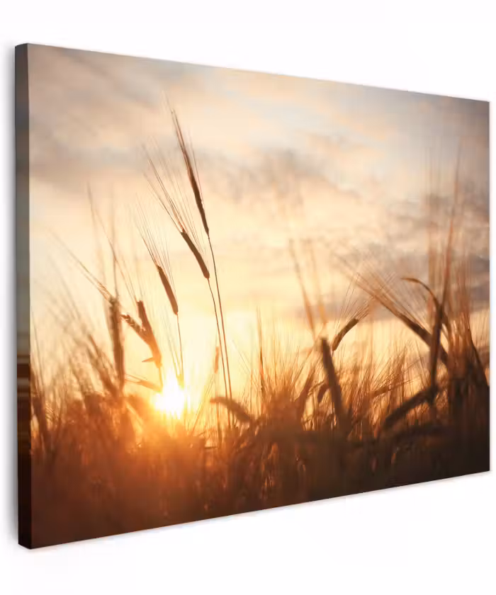 Canvas schilderij - Riet - Gras - Zonsondergang - Natuur - Horizon