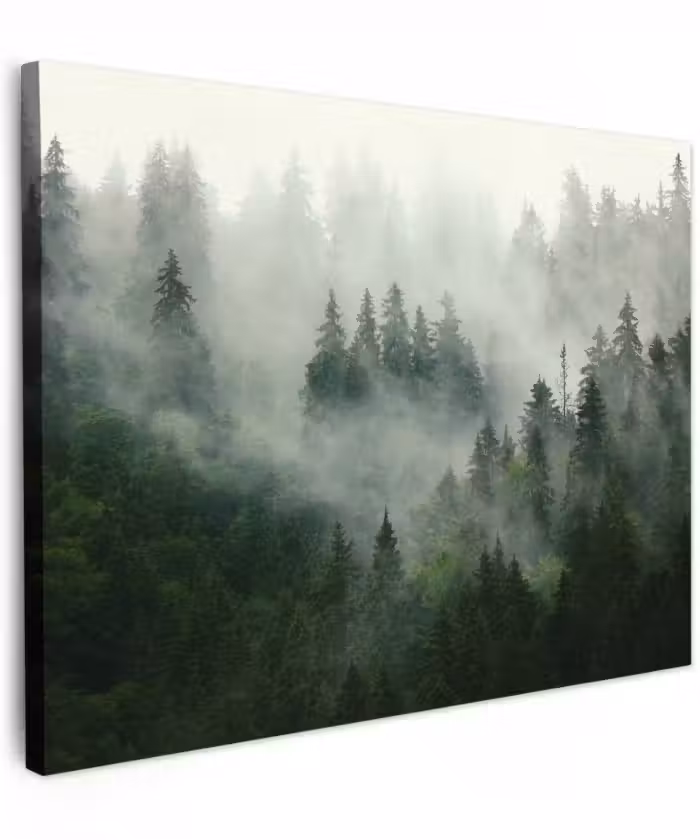 Canvas schilderij - Bos - Mist - Bomen - Natuur