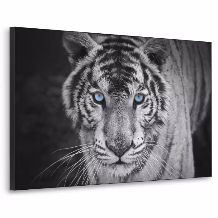 Art Frame - Tijger - Dier - Zwart - Blauw - Modern