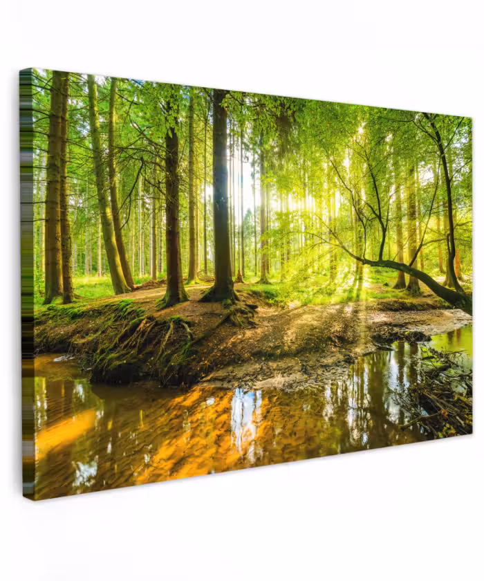 Buiten canvas - Bos - Landschap - Water - Bomen - Zon - Groen - Natuur